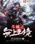 斗破之无上之境结局